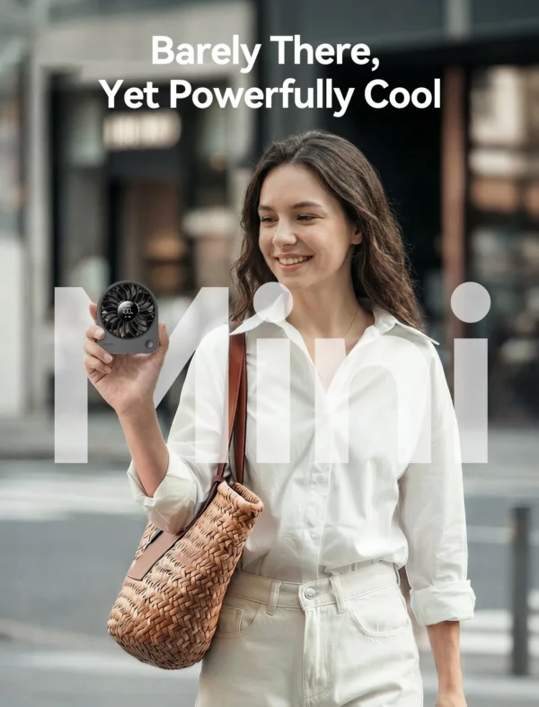 Portable Table Fan Chic 02