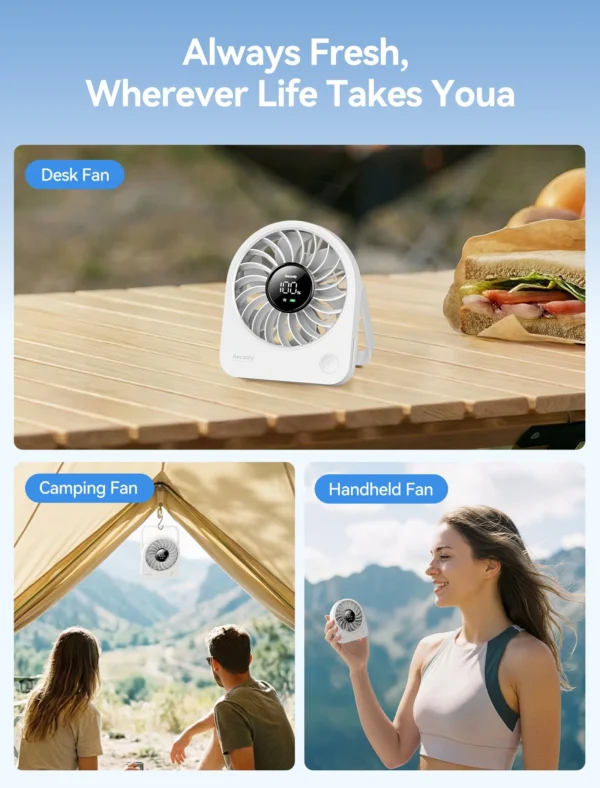 Portable Table Fan Chic 02