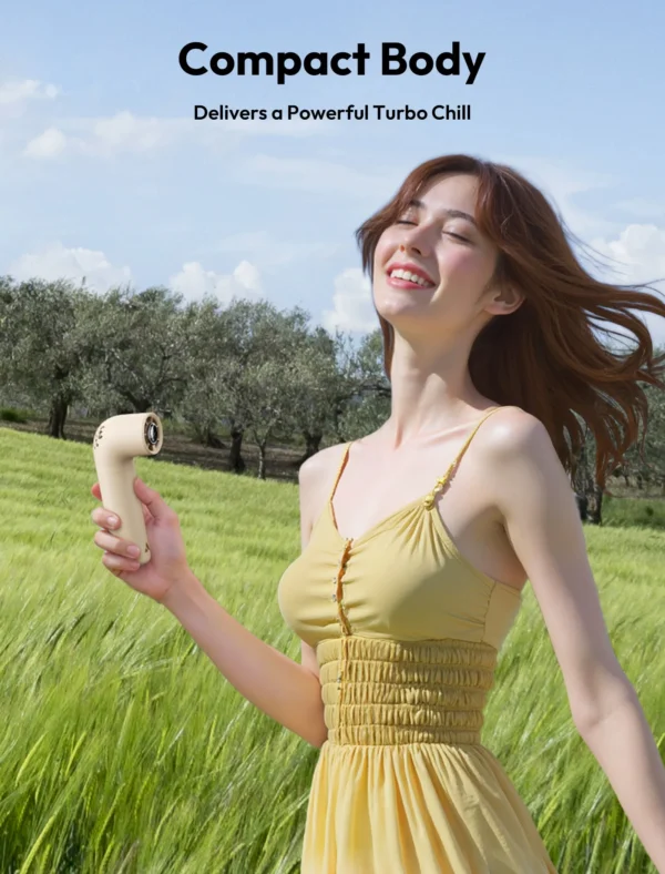 Handheld High-Speed Fan Aero