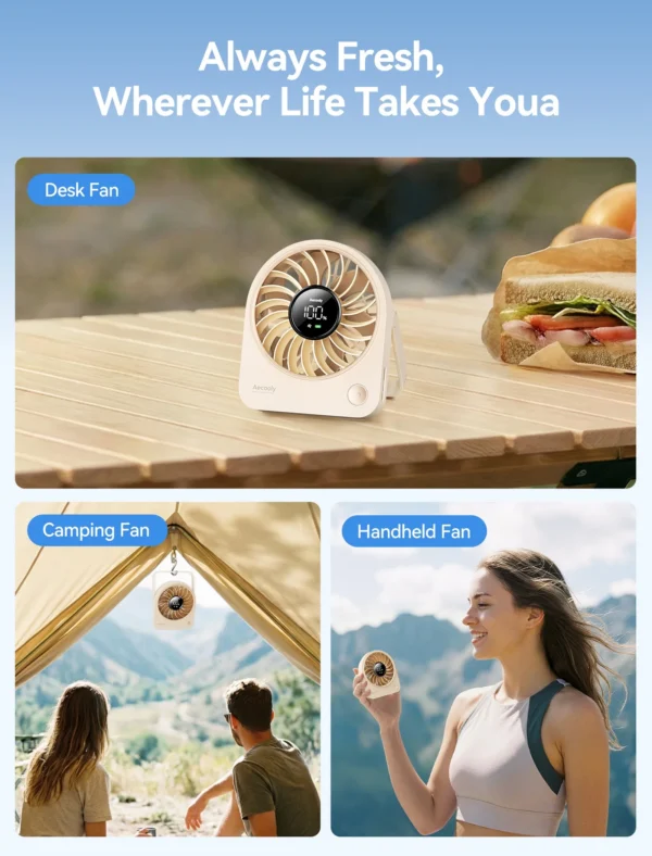 Portable Table Fan Chic 02